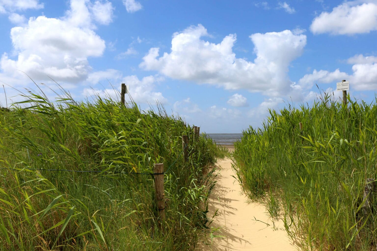 Ein schmaler Weg zum Strand in Cuxhaven